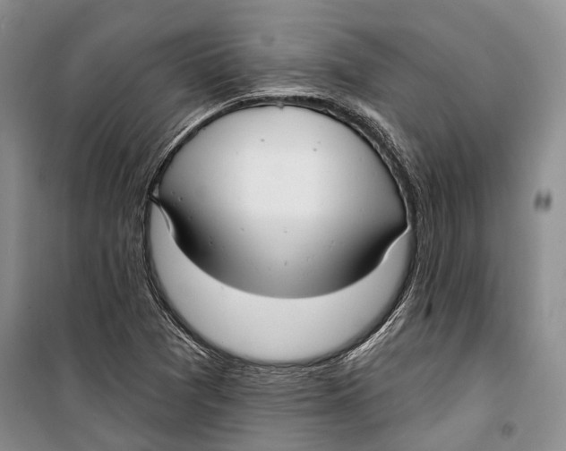 X0000098171361200805151107