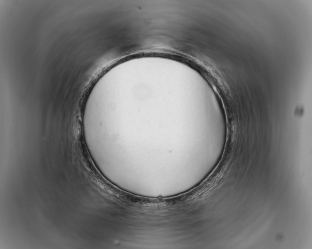 X0000098171363200805151107