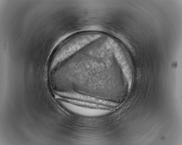 X0000098171364200805151107