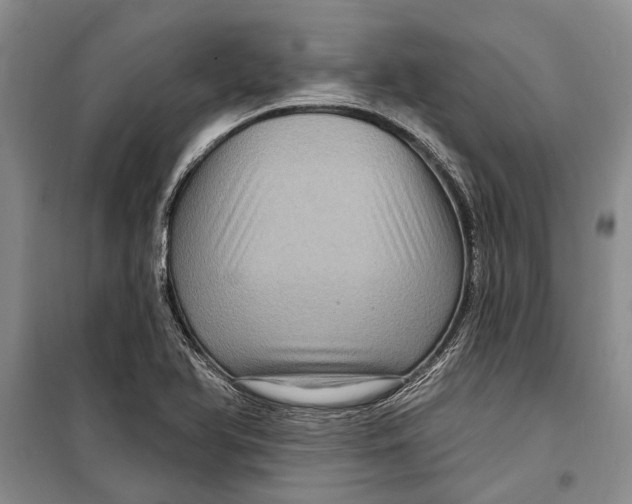 X0000098171366200805151107