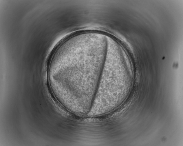 X0000098171368200805151107