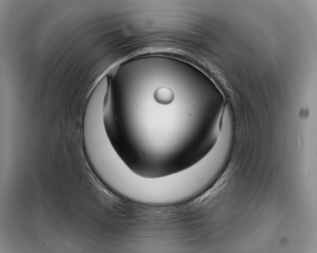 X0000098171369200805151107