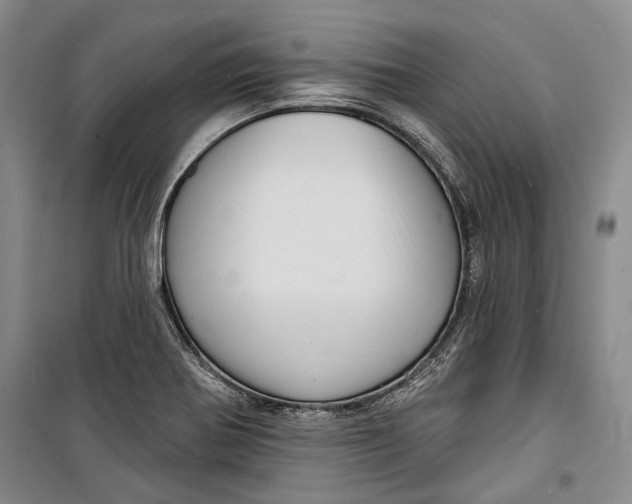 X0000098171370200805151106