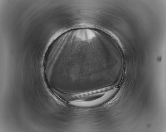 X0000098171373200805151106