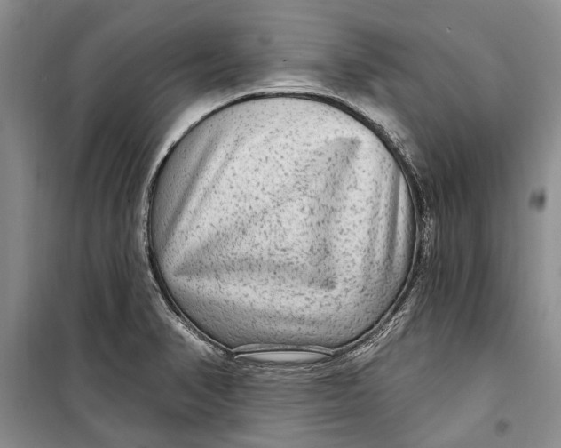 X0000098171374200805151106