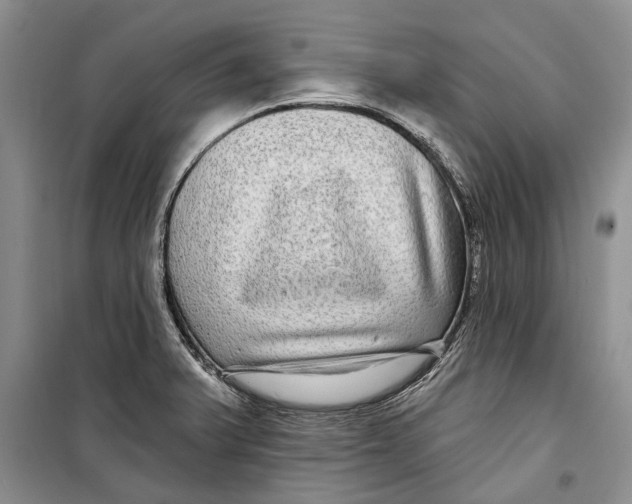 X0000098171375200805151106