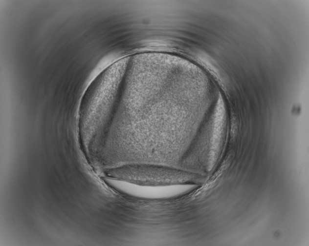 X0000098171378200805151106