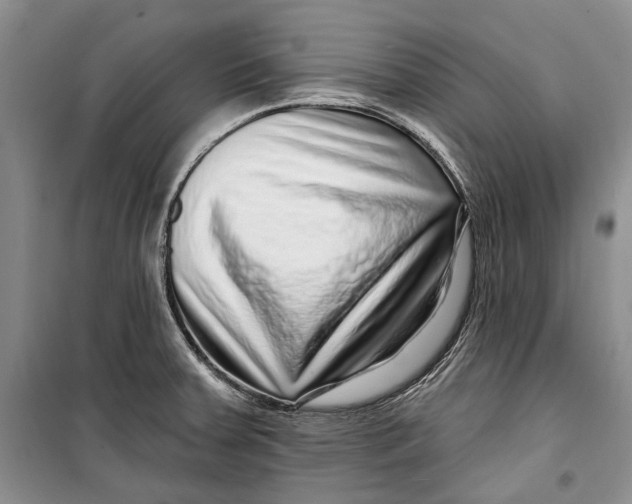 X0000098171379200805151106