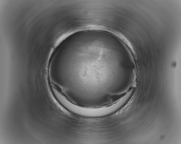 X0000098171381200805151106