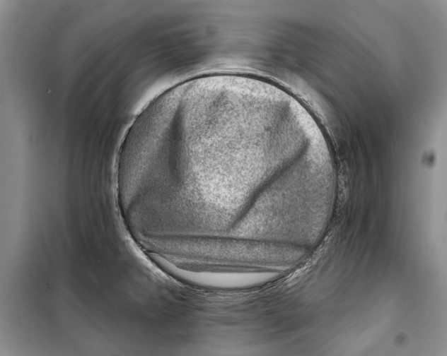 X0000098171382200805151106