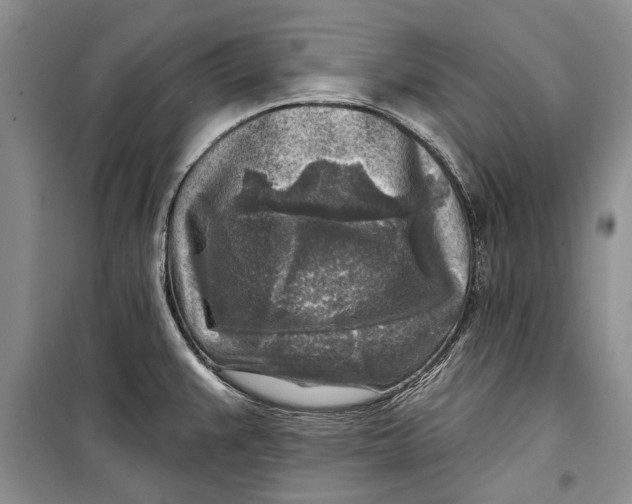 X0000098171383200805151106