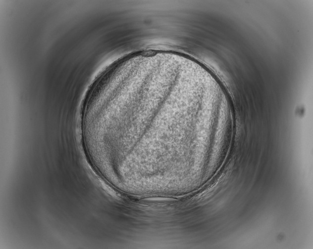 X0000098171384200805151106