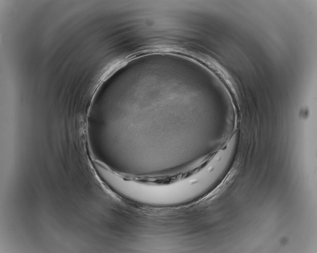 X0000098171385200805151106