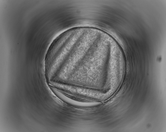 X0000098171388200805151106