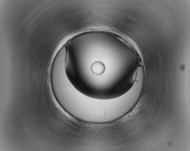 X0000098171389200805151106