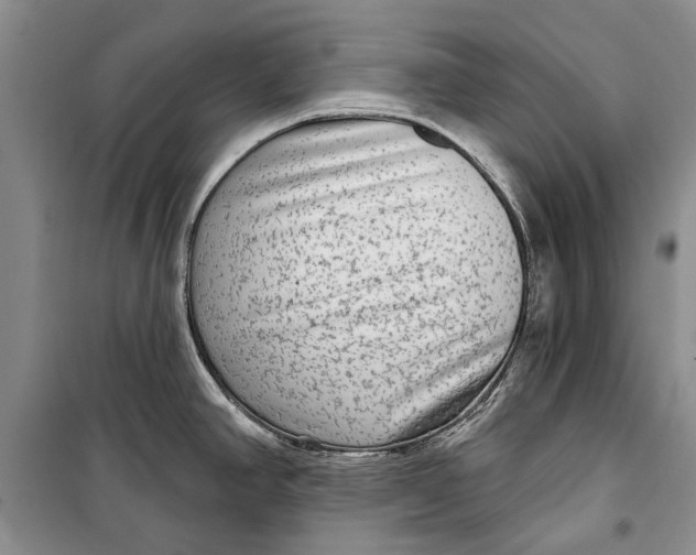 X0000098171390200805151106