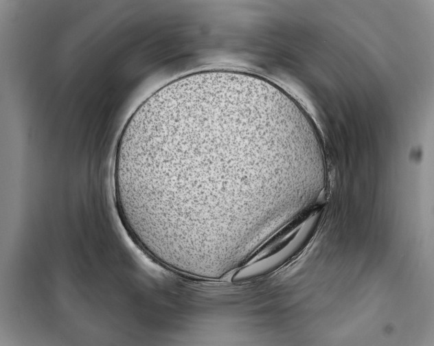 X0000098171391200805151106