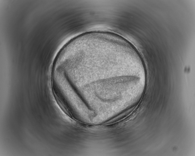 X0000098171392200805151106