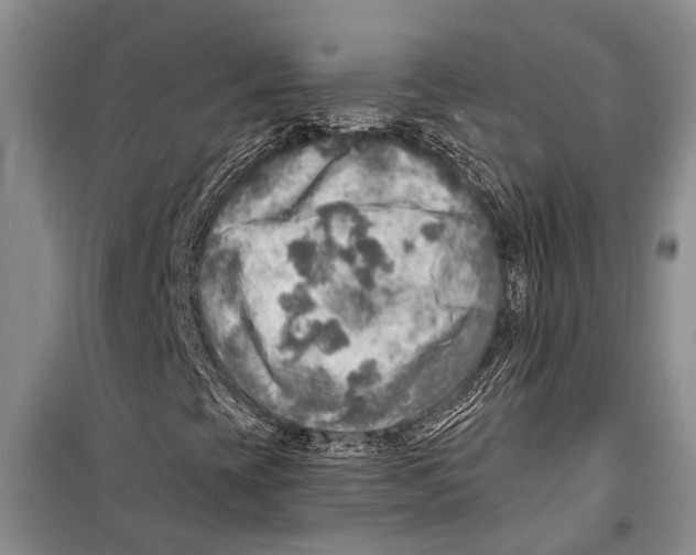 X0000098171393200805151106