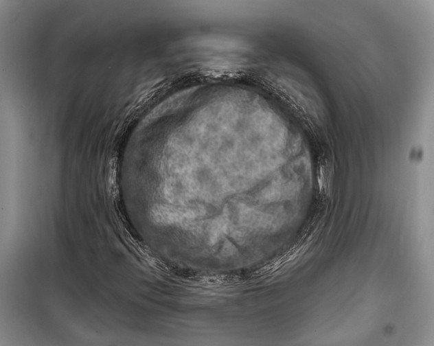 X0000098171396200805151106