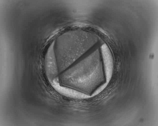 X0000098171397200805151106