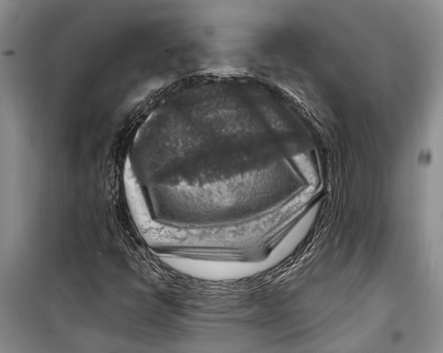 X0000098171398200805151106