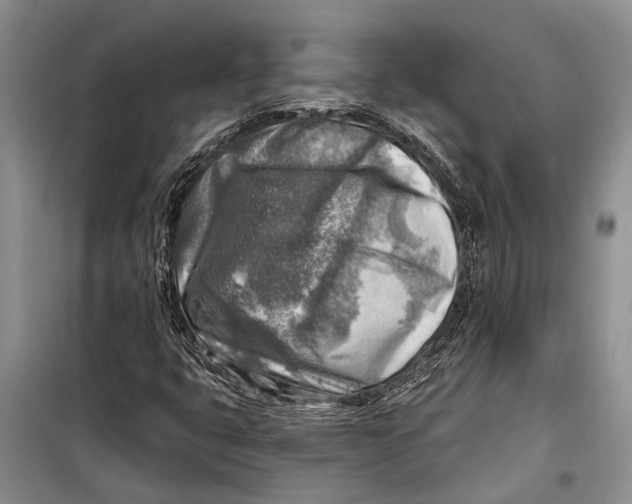 X0000098171399200805151106