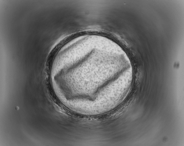 X0000098171400200805151106