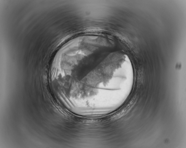 X0000098171401200805151106