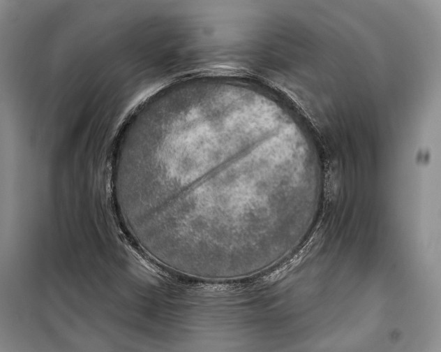 X0000098171402200805151106