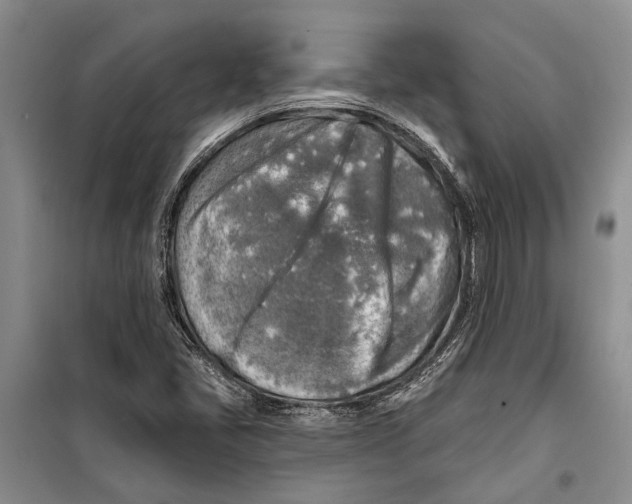 X0000098171405200805151106