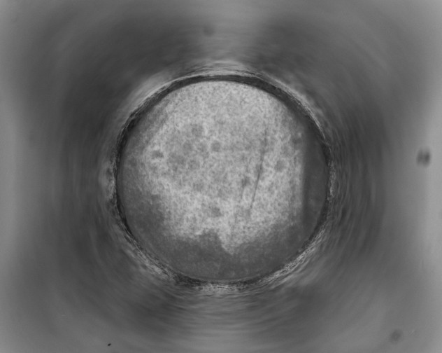 X0000098171407200805151106