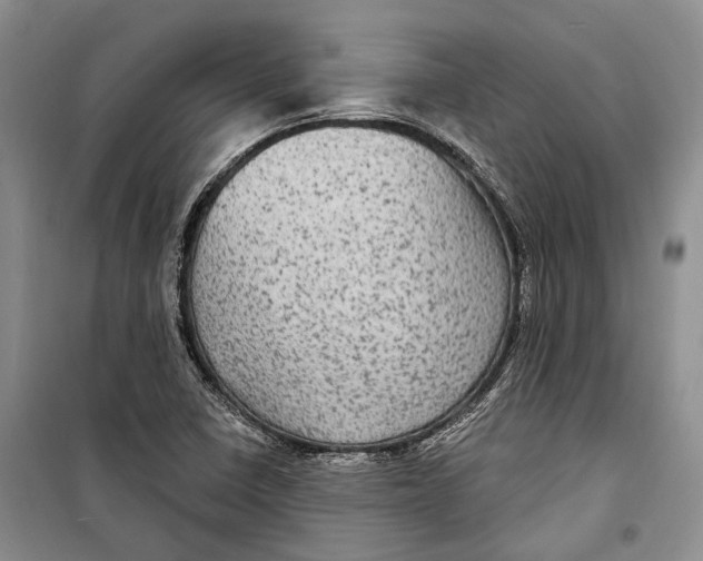 X0000098171410200805151106