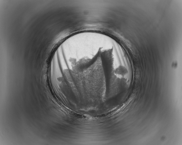 X0000098171411200805151106