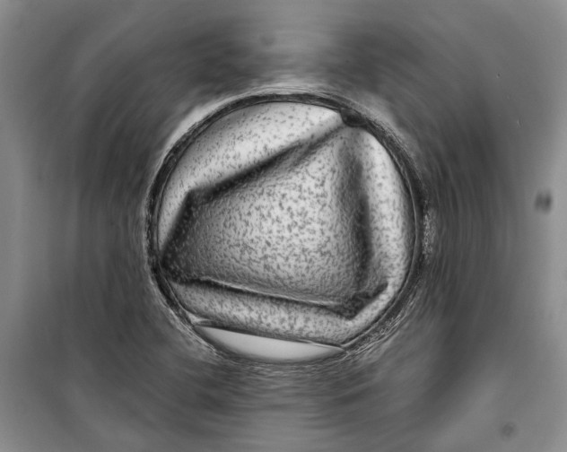 X0000098171412200805151106