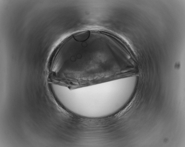 X0000098171414200805151106