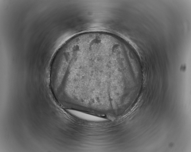 X0000098171415200805151106