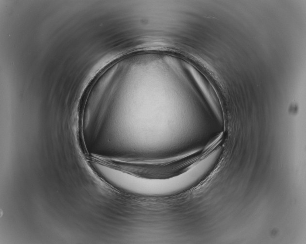 X0000098171418200805151106