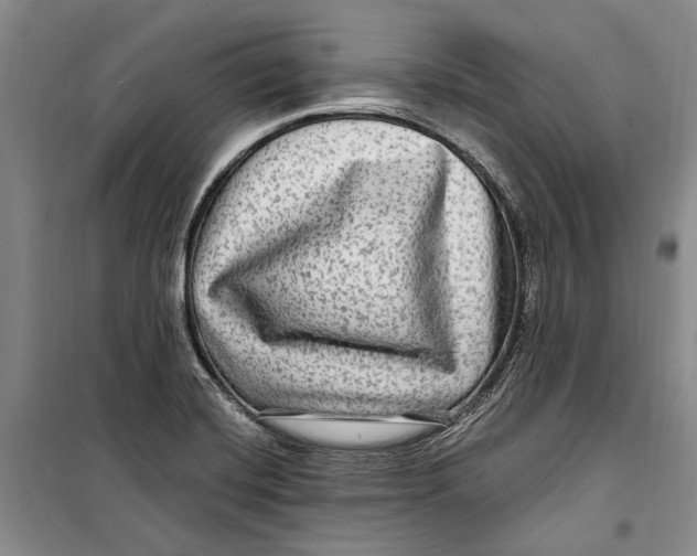 X0000098171420200805151106