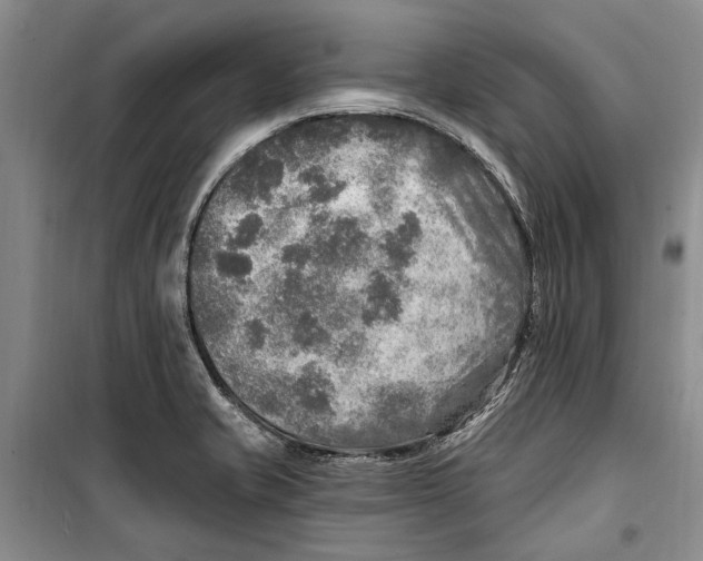 X0000098171421200805151106