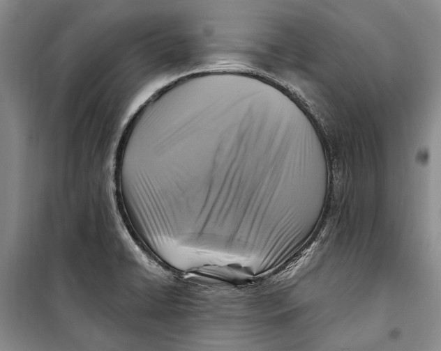 X0000098171422200805151106