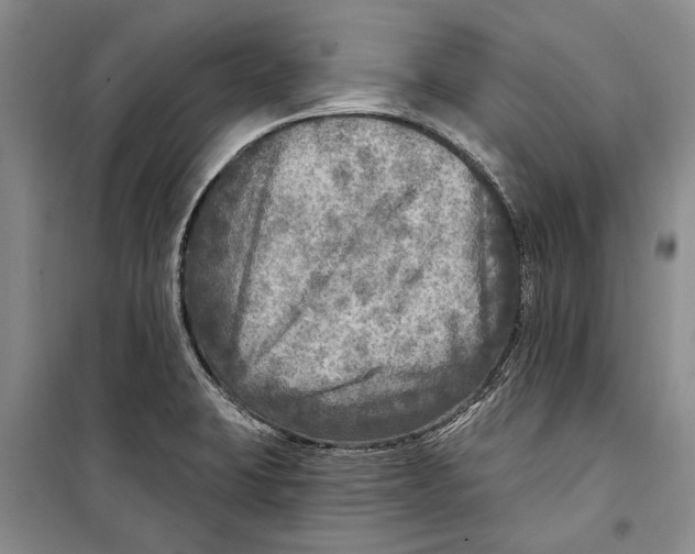 X0000098171423200805151106