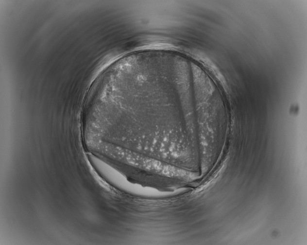 X0000098171425200805151106