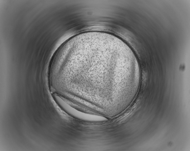 X0000098171426200805151106