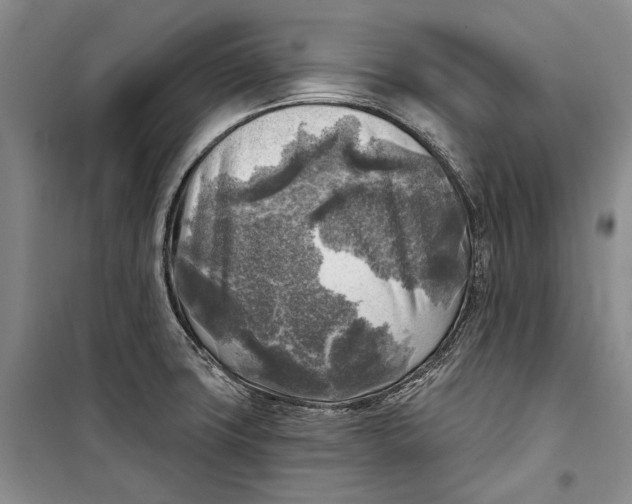 X0000098171427200805151106