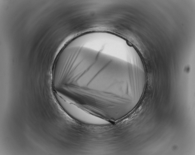 X0000098171428200805151106