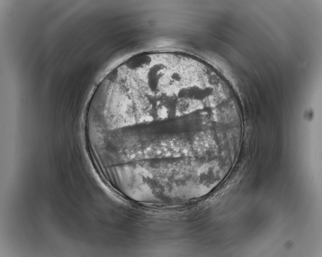 X0000098171429200805151106