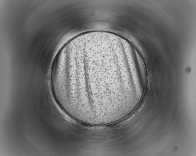 X0000098171432200805151106