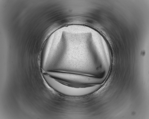 X0000098171433200805151106