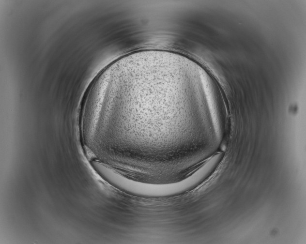 X0000098171434200805151106